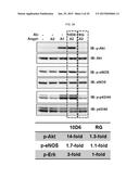 METHOD OF BLOCKING VASCULAR LEAKAGE USING AN ANTI-ANG2 ANTIBODY diagram and image