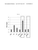 METHOD OF BLOCKING VASCULAR LEAKAGE USING AN ANTI-ANG2 ANTIBODY diagram and image