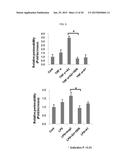 METHOD OF BLOCKING VASCULAR LEAKAGE USING AN ANTI-ANG2 ANTIBODY diagram and image