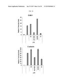 METHOD OF BLOCKING VASCULAR LEAKAGE USING AN ANTI-ANG2 ANTIBODY diagram and image