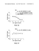 LOW DENSITY LIPOPROTEIN - RELATED PROTEIN 6 (LRP6) - HALF LIFE EXTENDER     CONSTRUCTS diagram and image