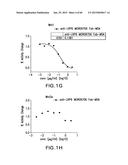 LOW DENSITY LIPOPROTEIN - RELATED PROTEIN 6 (LRP6) - HALF LIFE EXTENDER     CONSTRUCTS diagram and image