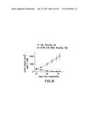 LOW DENSITY LIPOPROTEIN - RELATED PROTEIN 6 (LRP6) - HALF LIFE EXTENDER     CONSTRUCTS diagram and image