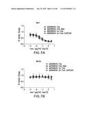 LOW DENSITY LIPOPROTEIN - RELATED PROTEIN 6 (LRP6) - HALF LIFE EXTENDER     CONSTRUCTS diagram and image