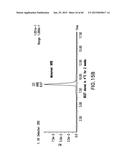 LOW DENSITY LIPOPROTEIN - RELATED PROTEIN 6 (LRP6) - HALF LIFE EXTENDER     CONSTRUCTS diagram and image