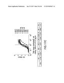 LOW DENSITY LIPOPROTEIN - RELATED PROTEIN 6 (LRP6) - HALF LIFE EXTENDER     CONSTRUCTS diagram and image