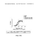 LOW DENSITY LIPOPROTEIN - RELATED PROTEIN 6 (LRP6) - HALF LIFE EXTENDER     CONSTRUCTS diagram and image