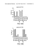 LOW DENSITY LIPOPROTEIN - RELATED PROTEIN 6 (LRP6) - HALF LIFE EXTENDER     CONSTRUCTS diagram and image