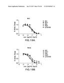 LOW DENSITY LIPOPROTEIN - RELATED PROTEIN 6 (LRP6) - HALF LIFE EXTENDER     CONSTRUCTS diagram and image