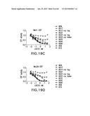 LOW DENSITY LIPOPROTEIN - RELATED PROTEIN 6 (LRP6) - HALF LIFE EXTENDER     CONSTRUCTS diagram and image