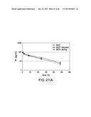 LOW DENSITY LIPOPROTEIN - RELATED PROTEIN 6 (LRP6) - HALF LIFE EXTENDER     CONSTRUCTS diagram and image