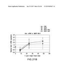 LOW DENSITY LIPOPROTEIN - RELATED PROTEIN 6 (LRP6) - HALF LIFE EXTENDER     CONSTRUCTS diagram and image