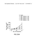 LOW DENSITY LIPOPROTEIN - RELATED PROTEIN 6 (LRP6) - HALF LIFE EXTENDER     CONSTRUCTS diagram and image