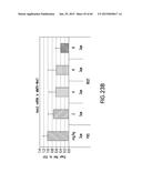 LOW DENSITY LIPOPROTEIN - RELATED PROTEIN 6 (LRP6) - HALF LIFE EXTENDER     CONSTRUCTS diagram and image