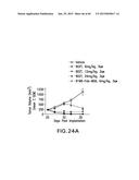 LOW DENSITY LIPOPROTEIN - RELATED PROTEIN 6 (LRP6) - HALF LIFE EXTENDER     CONSTRUCTS diagram and image