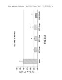 LOW DENSITY LIPOPROTEIN - RELATED PROTEIN 6 (LRP6) - HALF LIFE EXTENDER     CONSTRUCTS diagram and image