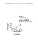 LOW DENSITY LIPOPROTEIN - RELATED PROTEIN 6 (LRP6) - HALF LIFE EXTENDER     CONSTRUCTS diagram and image