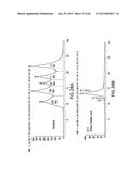 LOW DENSITY LIPOPROTEIN - RELATED PROTEIN 6 (LRP6) - HALF LIFE EXTENDER     CONSTRUCTS diagram and image