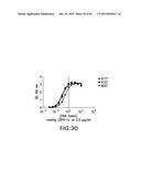 LOW DENSITY LIPOPROTEIN - RELATED PROTEIN 6 (LRP6) - HALF LIFE EXTENDER     CONSTRUCTS diagram and image