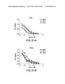 LOW DENSITY LIPOPROTEIN - RELATED PROTEIN 6 (LRP6) - HALF LIFE EXTENDER     CONSTRUCTS diagram and image