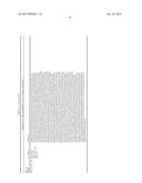 LOW DENSITY LIPOPROTEIN - RELATED PROTEIN 6 (LRP6) - HALF LIFE EXTENDER     CONSTRUCTS diagram and image