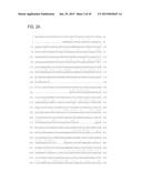 GAS57 MUTANT ANTIGENS AND GAS57 ANTIBODIES diagram and image