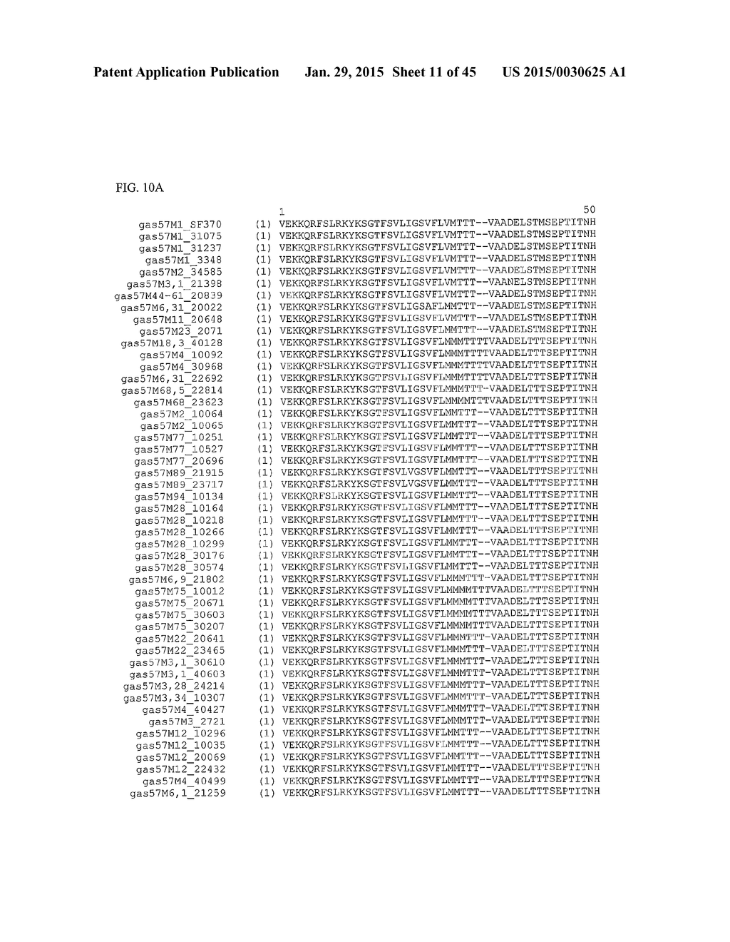 GAS57 MUTANT ANTIGENS AND GAS57 ANTIBODIES - diagram, schematic, and image 12