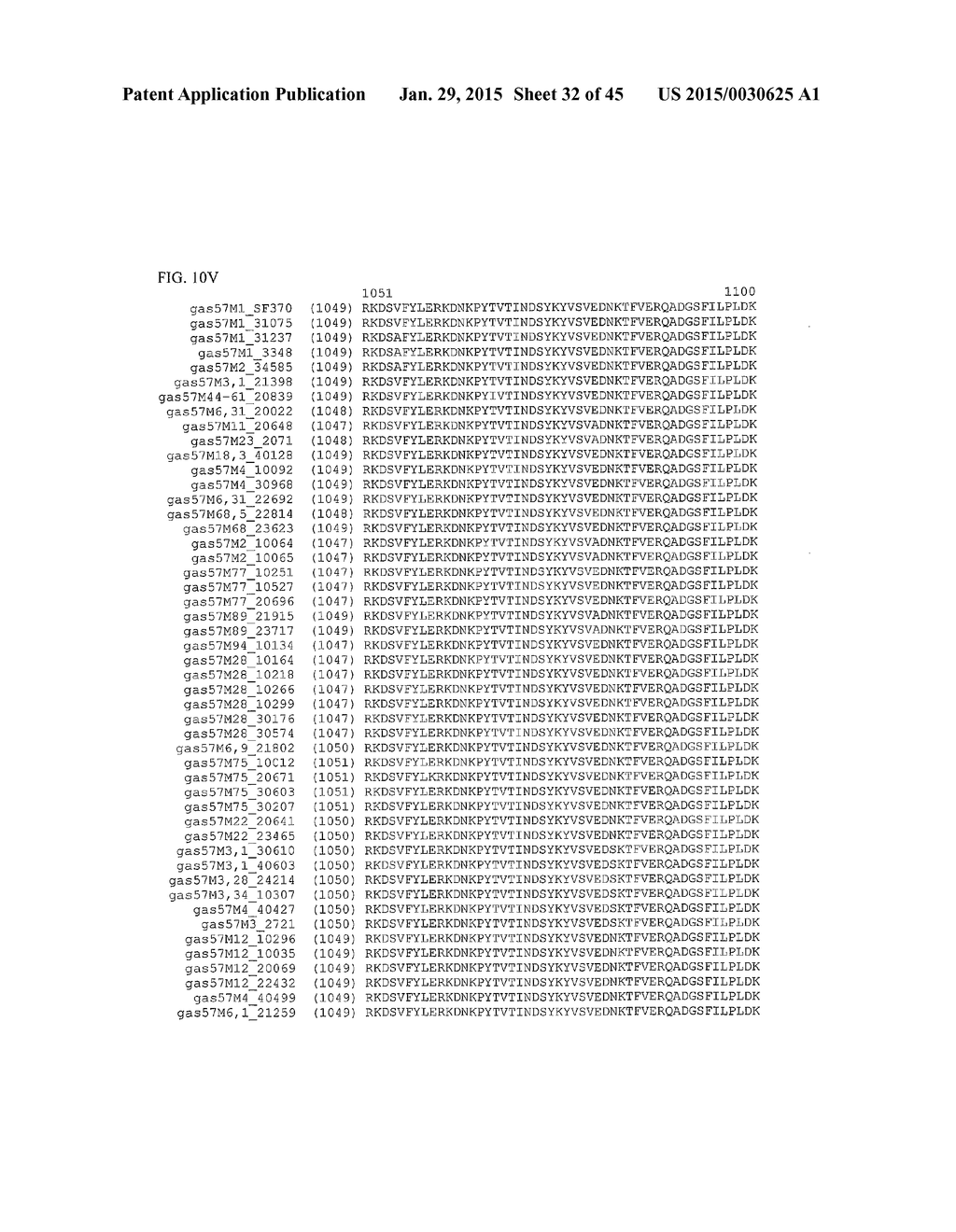 GAS57 MUTANT ANTIGENS AND GAS57 ANTIBODIES - diagram, schematic, and image 33