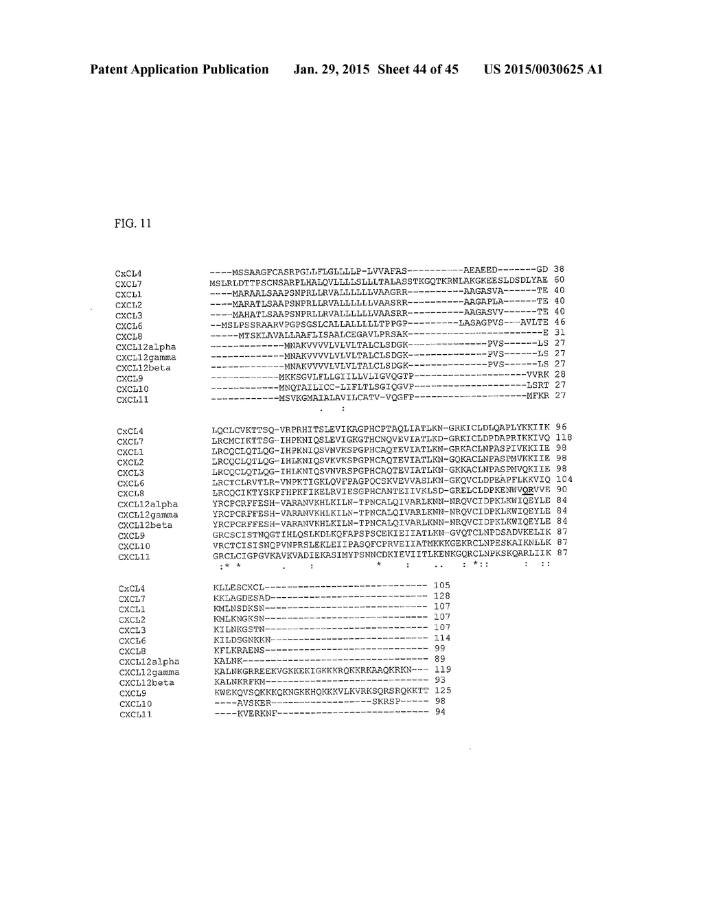 GAS57 MUTANT ANTIGENS AND GAS57 ANTIBODIES - diagram, schematic, and image 45