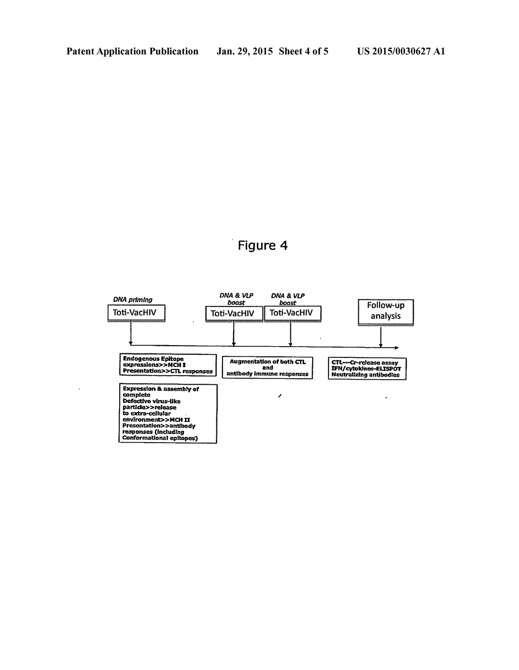 Trans-complementing, replication deficient lentiviral vectors and methods     for making and using them - diagram, schematic, and image 05