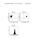 PROLIFERATING AGENT FOR MONOCYTE, CULTURE MEDIUM FOR PROLIFERATING     MONOCYTE, METHOD FOR PRODUCING MONOCYTE, METHOD FOR PRODUCING DENDRITIC     CELL, AND METHOD FOR PRODUCING DENDRITIC CELL VACCINE diagram and image