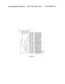 REDUCTION OF NON-STARCH POLYSACCHARIDES AND ALPHA-GALACTOSIDES IN SOY     FLOUR BY MEANS OF SOLID-STATE FERMENTATION USING CELLULOLYTIC BACTERIA     ISOLATED FROM DIFFERENT ENVIRONMENTS diagram and image