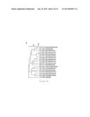 REDUCTION OF NON-STARCH POLYSACCHARIDES AND ALPHA-GALACTOSIDES IN SOY     FLOUR BY MEANS OF SOLID-STATE FERMENTATION USING CELLULOLYTIC BACTERIA     ISOLATED FROM DIFFERENT ENVIRONMENTS diagram and image