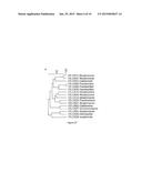 REDUCTION OF NON-STARCH POLYSACCHARIDES AND ALPHA-GALACTOSIDES IN SOY     FLOUR BY MEANS OF SOLID-STATE FERMENTATION USING CELLULOLYTIC BACTERIA     ISOLATED FROM DIFFERENT ENVIRONMENTS diagram and image