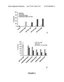 ANTI-TUMOR ADJUVANT THERAPY diagram and image