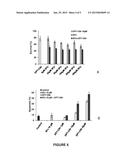 ANTI-TUMOR ADJUVANT THERAPY diagram and image