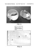 Enclosing Materials in Natural Transport Systems diagram and image