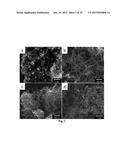 BORON-MODIFIED SILAZANES FOR SYNTHESIS OF SIBNC CERAMICS diagram and image