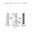 BORON-MODIFIED SILAZANES FOR SYNTHESIS OF SIBNC CERAMICS diagram and image