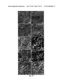 BORON-MODIFIED SILAZANES FOR SYNTHESIS OF SIBNC CERAMICS diagram and image