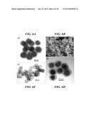 Carbon Coated Anode Materials diagram and image