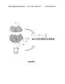 ENGINEERED GLASS SEALS FOR SOLID-OXIDE FUEL CELLS diagram and image