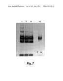 ENZYME-PORE CONSTRUCTS diagram and image