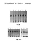 ENZYME-PORE CONSTRUCTS diagram and image