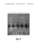 ENZYME-PORE CONSTRUCTS diagram and image