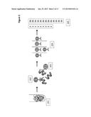 METHODS AND COMPOSITIONS FOR DETECTING GENETIC MATERIAL diagram and image