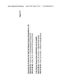 METHODS AND COMPOSITIONS FOR DETECTING GENETIC MATERIAL diagram and image