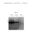 METHOD OF PREDICTING ACUTE APPENDICITIS diagram and image