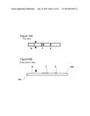 METHOD OF PREDICTING ACUTE APPENDICITIS diagram and image