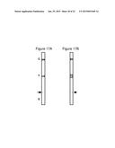 METHOD OF PREDICTING ACUTE APPENDICITIS diagram and image